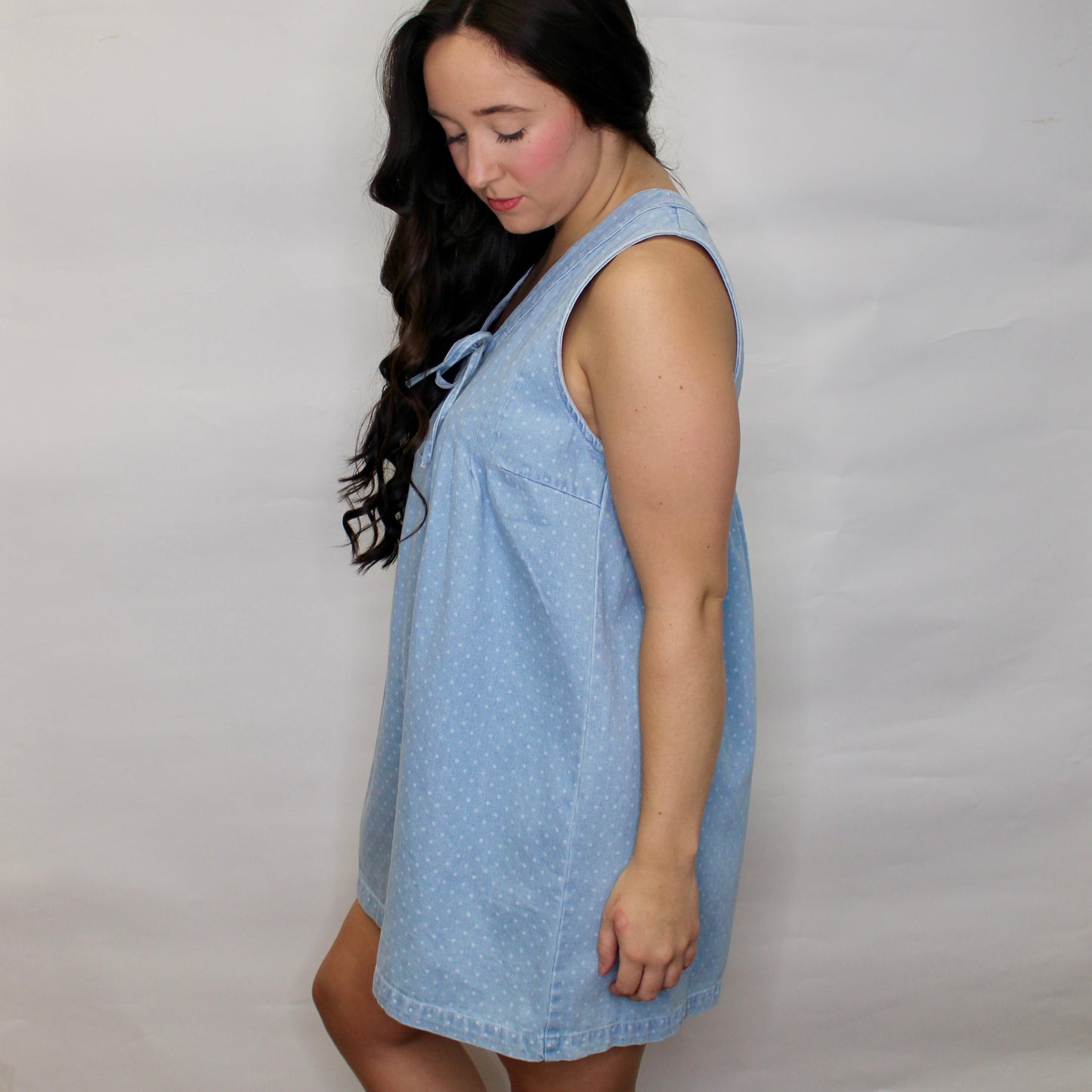 Daisy Denim Pleated Dress