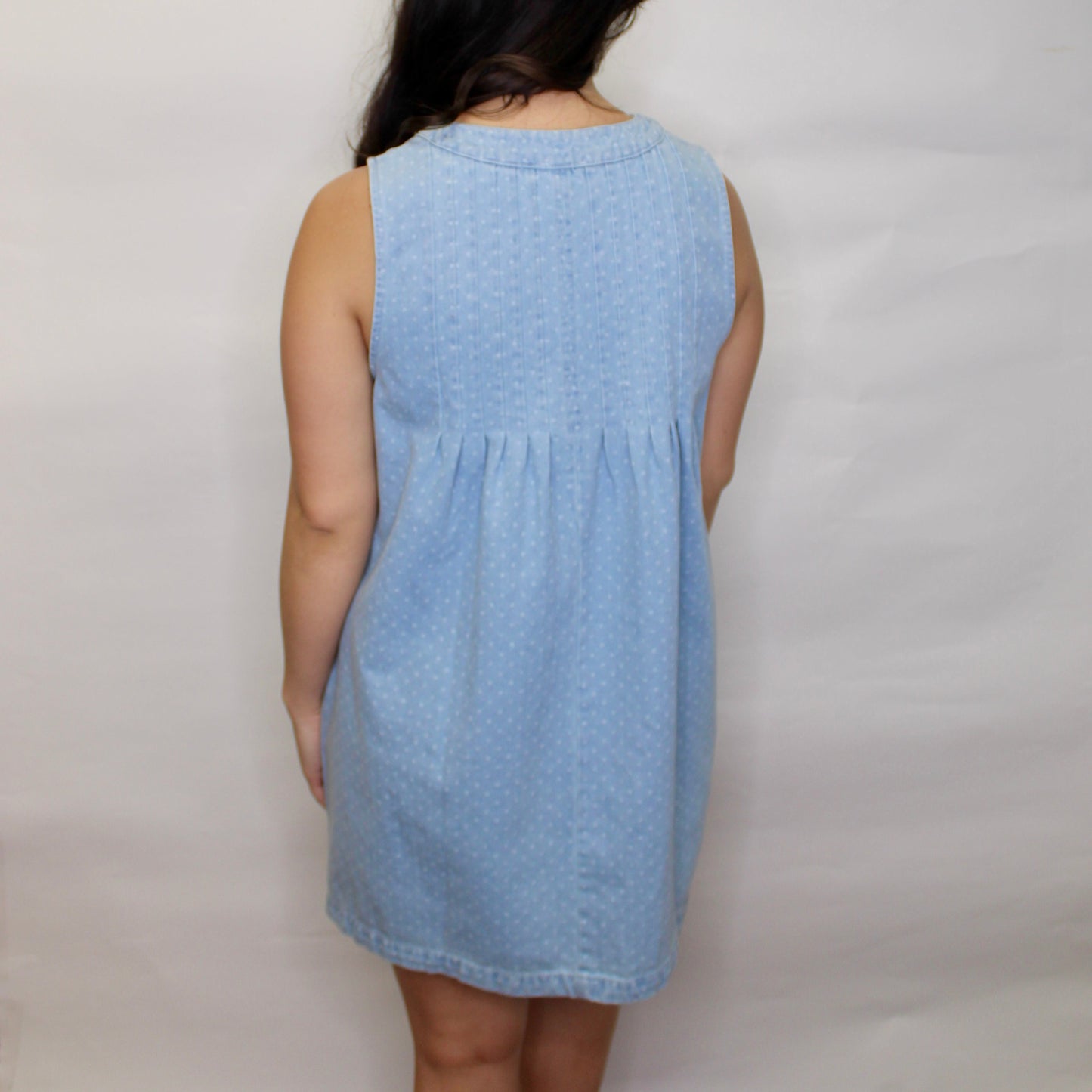 Daisy Denim Pleated Dress