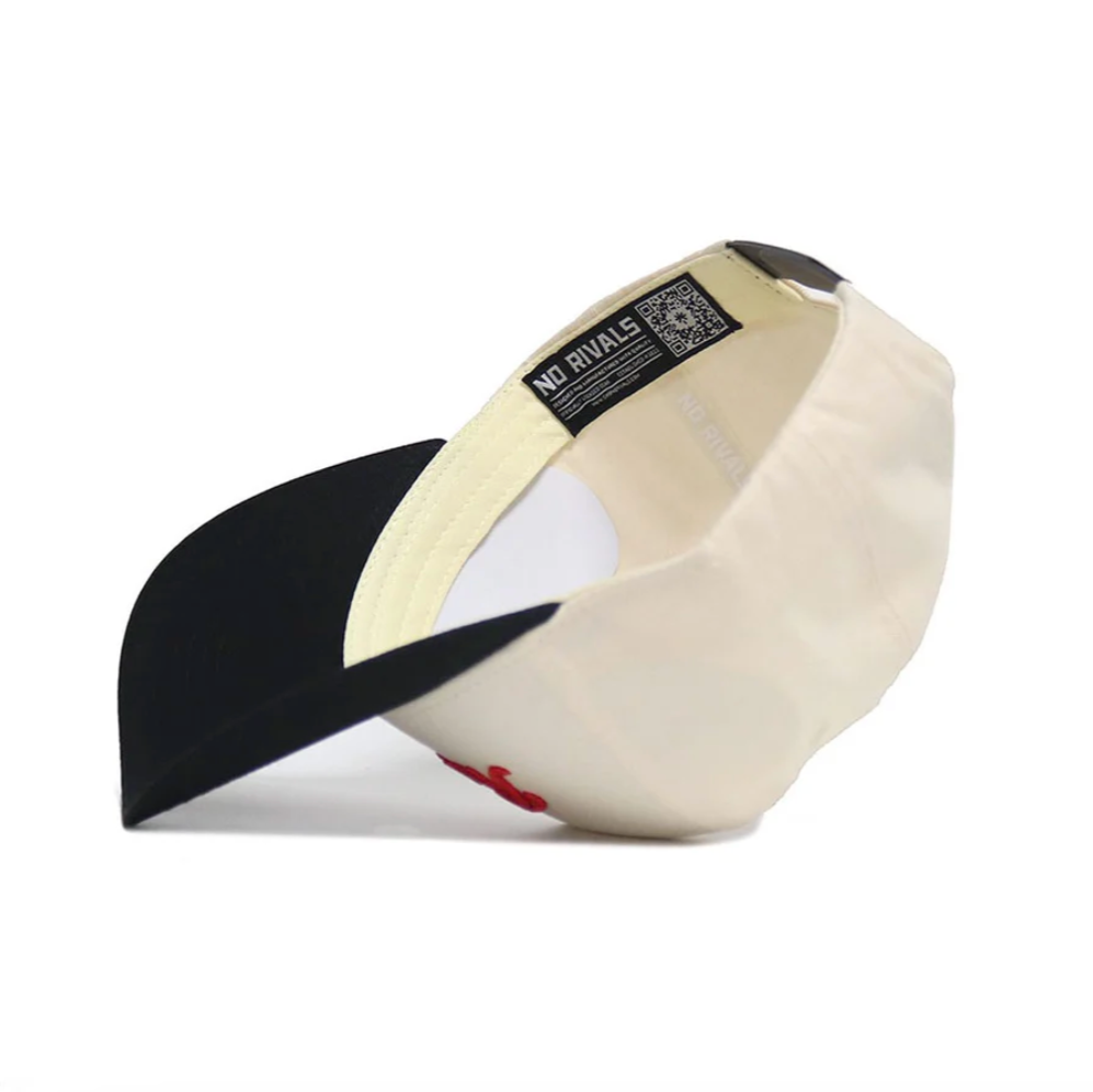 Illinois State Retro Black Hat