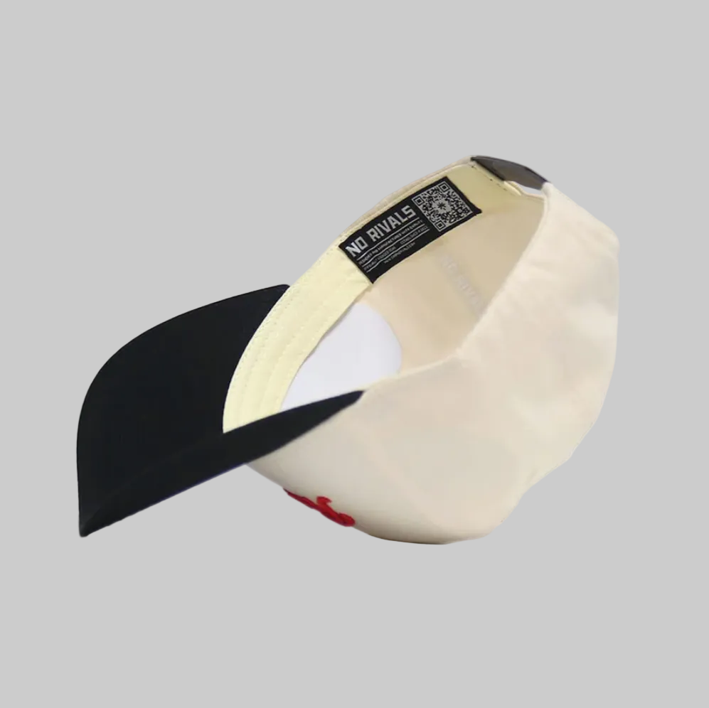 Illinois State Retro Black Hat