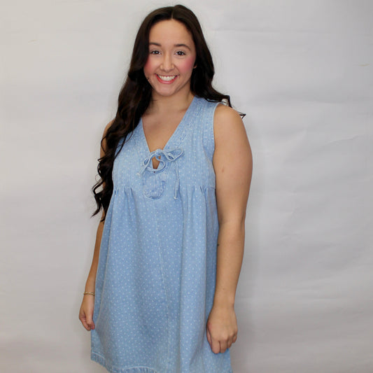 Daisy Denim Pleated Dress